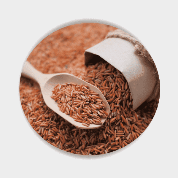 লাল চাল